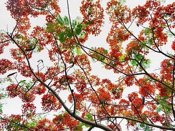 《暗黑4》下次开发者直播4月到来 讨论终局内容