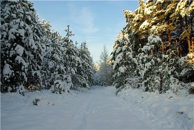 开罗游戏《前进！！英雄战队物语 DX》Steam页面上线 发售日期待定